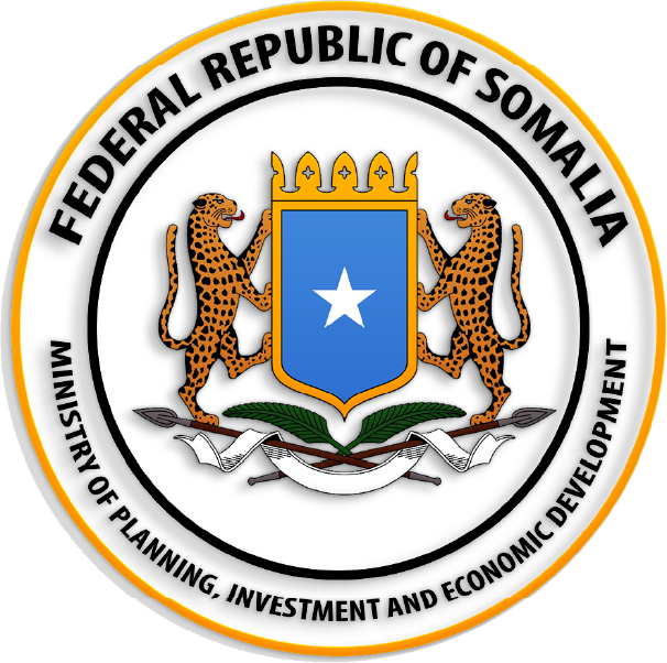 Federal Government of Somalia