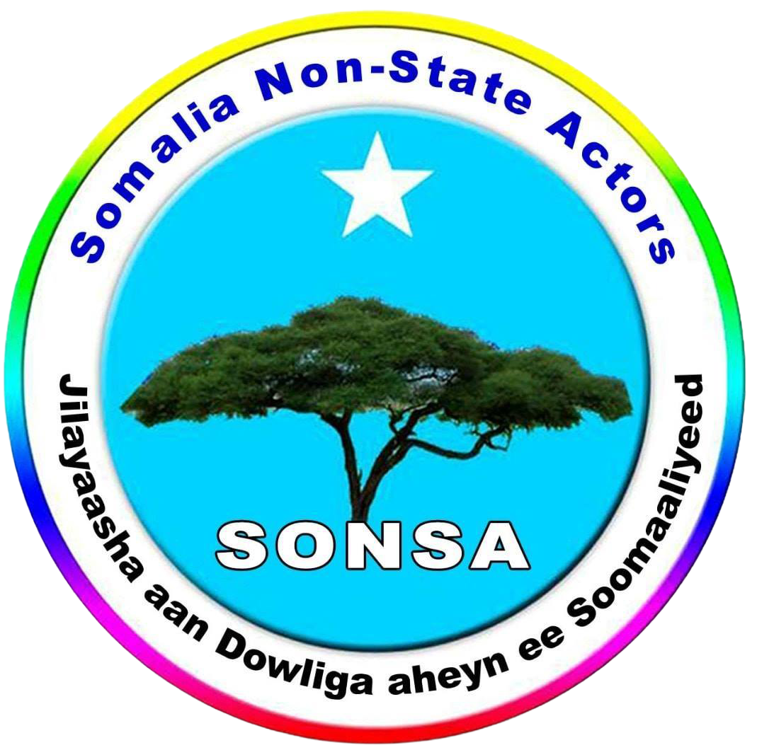 Somali Non-State Actors Association (SONSA)